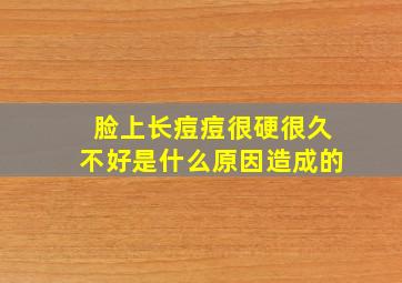 脸上长痘痘很硬很久不好是什么原因造成的