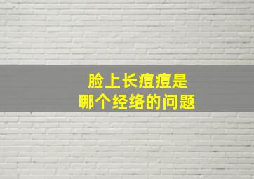 脸上长痘痘是哪个经络的问题