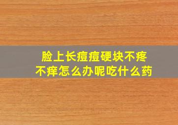 脸上长痘痘硬块不疼不痒怎么办呢吃什么药