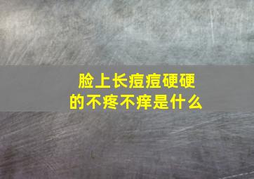 脸上长痘痘硬硬的不疼不痒是什么