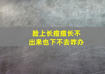 脸上长痘痘长不出来也下不去咋办