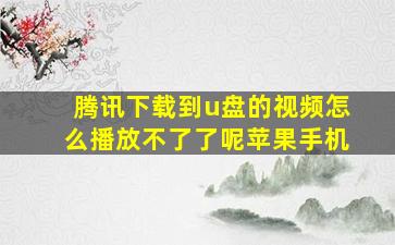 腾讯下载到u盘的视频怎么播放不了了呢苹果手机