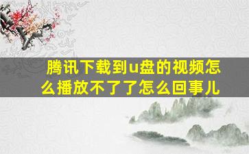 腾讯下载到u盘的视频怎么播放不了了怎么回事儿