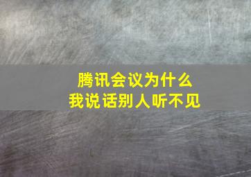 腾讯会议为什么我说话别人听不见