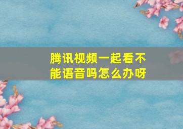 腾讯视频一起看不能语音吗怎么办呀