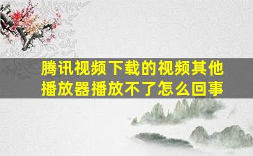 腾讯视频下载的视频其他播放器播放不了怎么回事