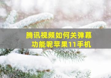 腾讯视频如何关弹幕功能呢苹果11手机