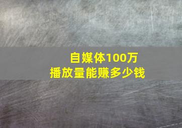 自媒体100万播放量能赚多少钱