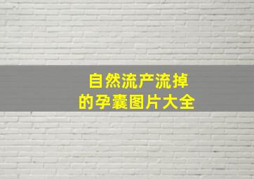 自然流产流掉的孕囊图片大全