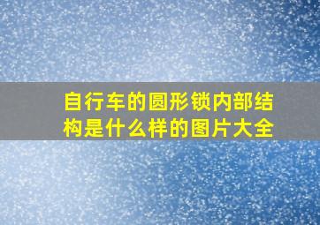 自行车的圆形锁内部结构是什么样的图片大全