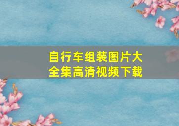 自行车组装图片大全集高清视频下载