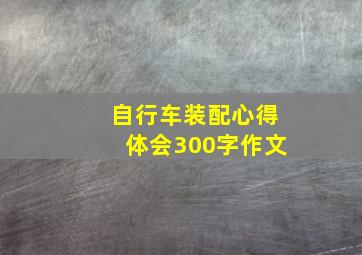 自行车装配心得体会300字作文