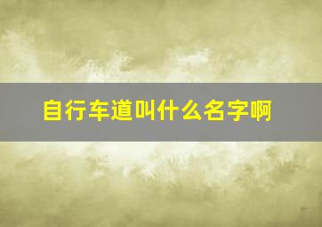 自行车道叫什么名字啊