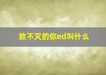 致不灭的你ed叫什么