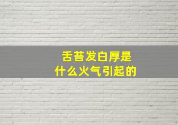 舌苔发白厚是什么火气引起的