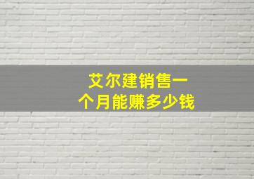 艾尔建销售一个月能赚多少钱