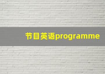 节目英语programme