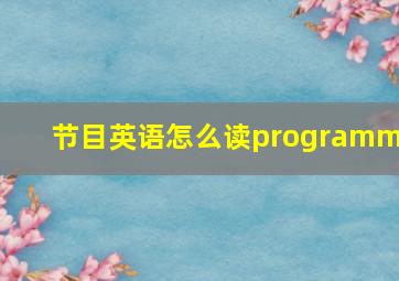 节目英语怎么读programme