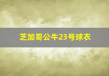 芝加哥公牛23号球衣