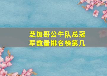 芝加哥公牛队总冠军数量排名榜第几