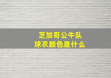 芝加哥公牛队球衣颜色是什么