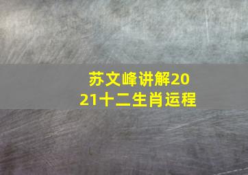 苏文峰讲解2021十二生肖运程