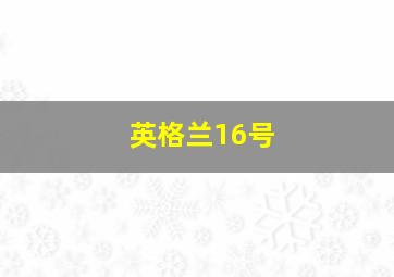 英格兰16号