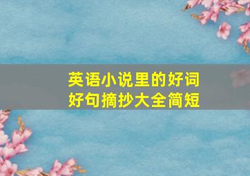 英语小说里的好词好句摘抄大全简短