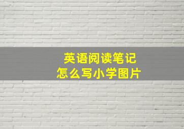 英语阅读笔记怎么写小学图片