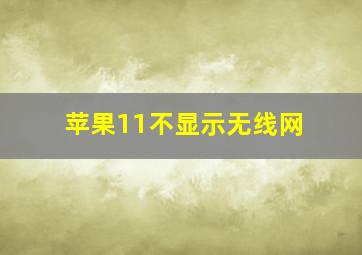 苹果11不显示无线网