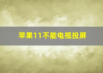 苹果11不能电视投屏