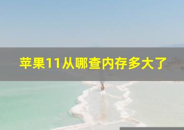 苹果11从哪查内存多大了