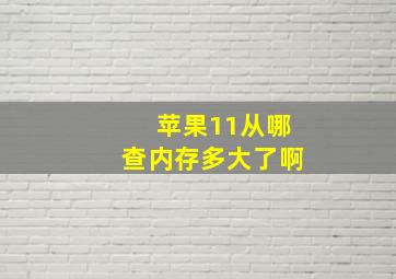 苹果11从哪查内存多大了啊