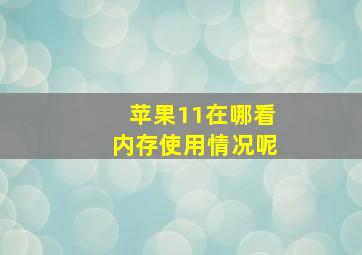 苹果11在哪看内存使用情况呢