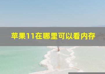 苹果11在哪里可以看内存