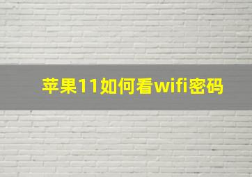 苹果11如何看wifi密码