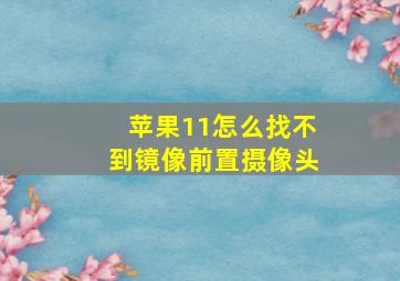 苹果11怎么找不到镜像前置摄像头