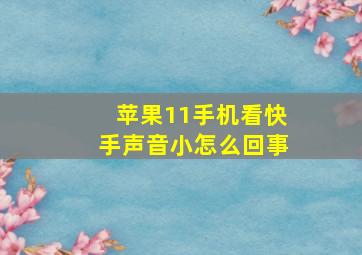 苹果11手机看快手声音小怎么回事