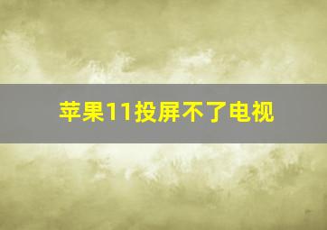 苹果11投屏不了电视