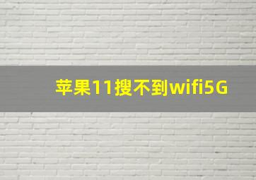 苹果11搜不到wifi5G