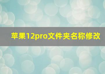 苹果12pro文件夹名称修改