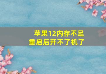 苹果12内存不足重启后开不了机了