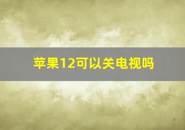 苹果12可以关电视吗