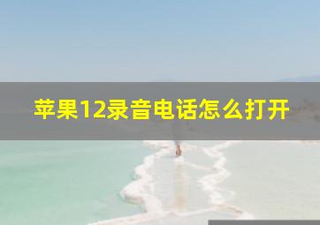 苹果12录音电话怎么打开