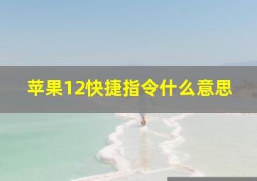 苹果12快捷指令什么意思