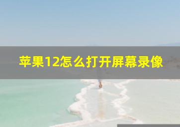 苹果12怎么打开屏幕录像