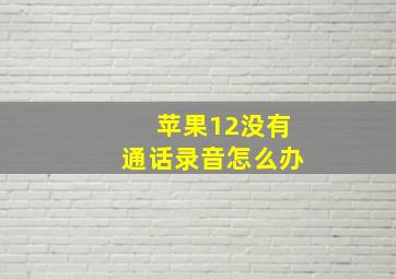 苹果12没有通话录音怎么办