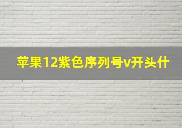 苹果12紫色序列号v开头什