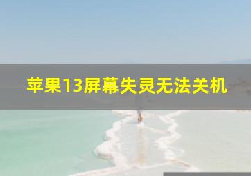 苹果13屏幕失灵无法关机