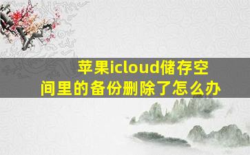 苹果icloud储存空间里的备份删除了怎么办